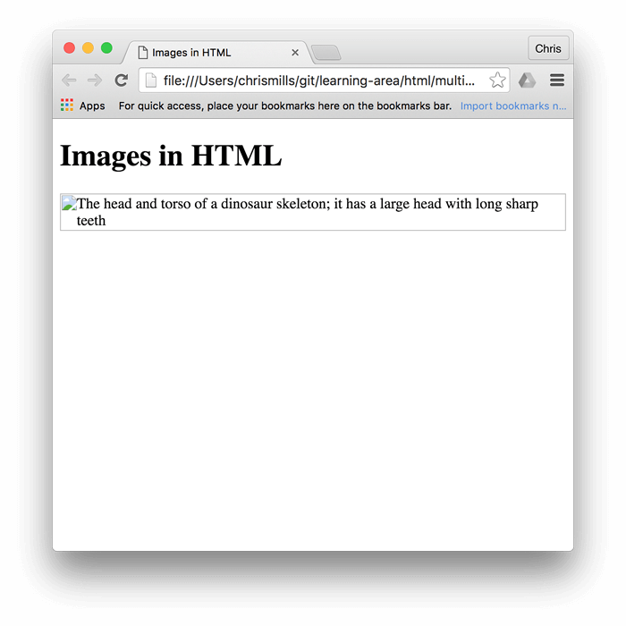 标题为“Images in HTML”，但是这次恐龙图片没有显示，在它原有的位置只有 alt 文本。