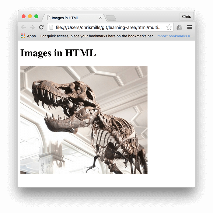 一个嵌入到浏览器中的恐龙基本图像，上面写着“Images in HTML”